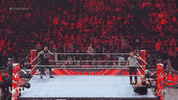 Sport Wwe GIF by USA Network