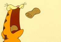 Hungry Om Nom GIF by Garfield