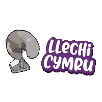 Bro Plenydd Sticker