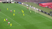 Kanga Uefaeuropaleague GIF by sportmts