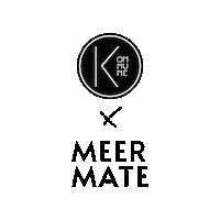 Party Festival Sticker by MeerMate