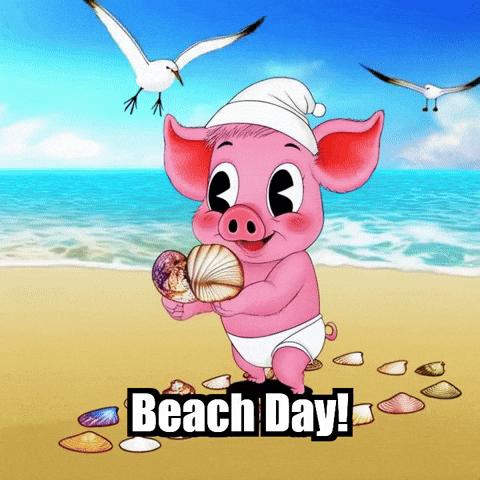Pigassocharacter GIF by The Pigasso