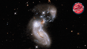 James Webb Nasa GIF by ESA Webb Space Telescope