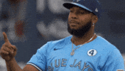 Well Done Smile GIF by Toronto Blue Jays
