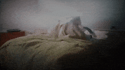 Harry Styles GIF by Columbia Records