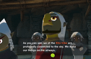 The Legend Of Zelda Gamecube GIF