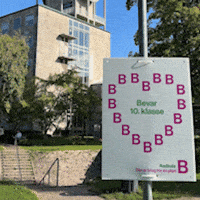 Radikaleuddannelse GIF by Radikale Venstre