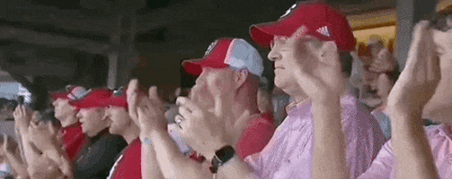 Nc State Baseball GIF by NCAA Championships