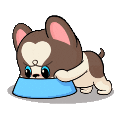 Fun Eat Sticker by UpStudiosWorld