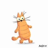 cat walking GIF by aap