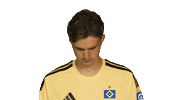 Look Up Hamburger Sv Sticker by Bundesliga