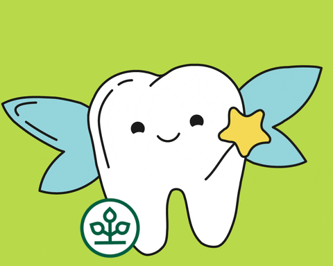 Tooth Fairy Smile GIF by AOK Niedersachsen