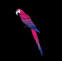 Apamate  GIF