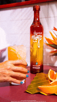 Happy Hour Cheers GIF by Milagro Tequila