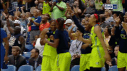 excited let's go GIF by WNBA