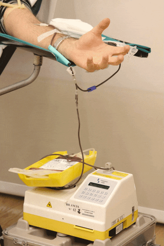 magociclo giphyupload 2019 blood blood donation GIF