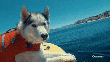 fun love GIF by Outside TV