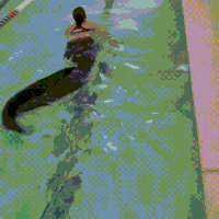 freak GIF
