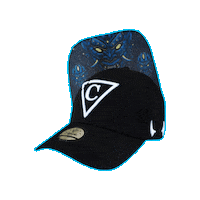 Baseball Hat Sticker by CapicheCaps