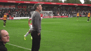 SalfordCityFC home hey shout graham GIF