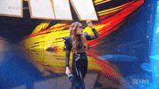 Sport Wwe GIF by USA Network