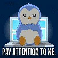 Pay Attention To Me Hello GIF by Pudgy Memez