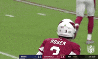 2018 Nfl Football GIF by NFL