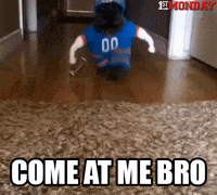 GIF by FirstAndMonday