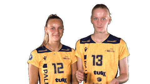 Schwerin Sscpalmbergschwerin Sticker by Volleyball Bundesliga