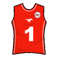 mustangsnl flagfootball tochito ifaf fmfa Sticker