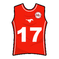 mustangsnl flagfootball tochito ifaf fmfa Sticker