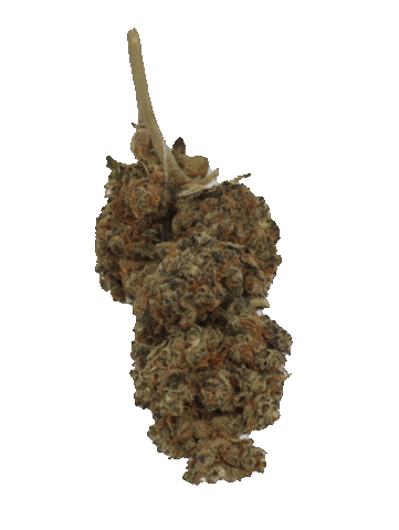 Cannabis Cbd Sticker by PottSmog