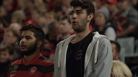 wswanderersfc giphyupload reaction football celebration GIF