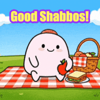 Jewish Chabad GIF by Bereishis Foundation