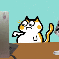 Embarrassed Cat GIF by Poku Meow