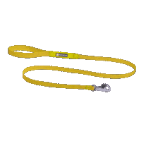 ruffwear leash dog walk dog leash ruffwear Sticker
