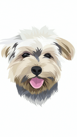 pupandrunning giphyupload love heart eye bettie GIF