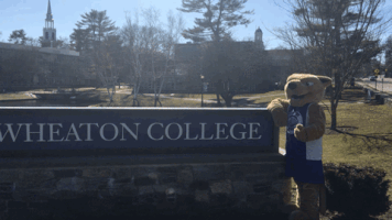 mascot thumbs up GIF by Wheaton College (MA)