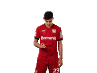 Bayer 04 Deal With It Sticker by Bayer 04 Leverkusen