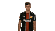 come on wtf Sticker by Bundesliga