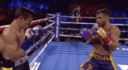 toprank fight boxing fighting champion GIF
