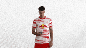 Shocked Champions League GIF by RB Leipzig
