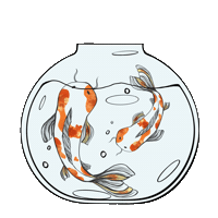 Summer Fish Sticker