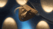 merge records GIF by Wye Oak