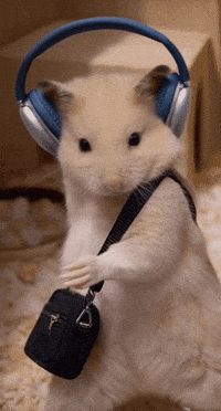 Cute Hamster GIF