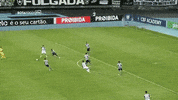 GIF by Botafogo