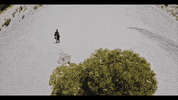 Hip Hop Rap GIF by Sony Music Africa