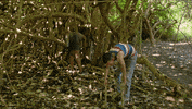 Friends Searching GIF by Survivor CBS