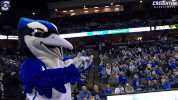bluejays GIF by Creighton University Athletics