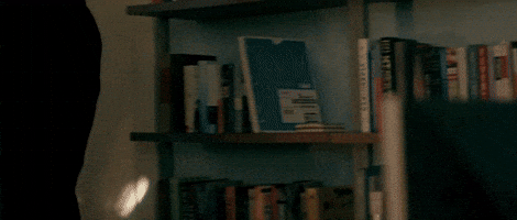 Davidly - Spiders in the Room